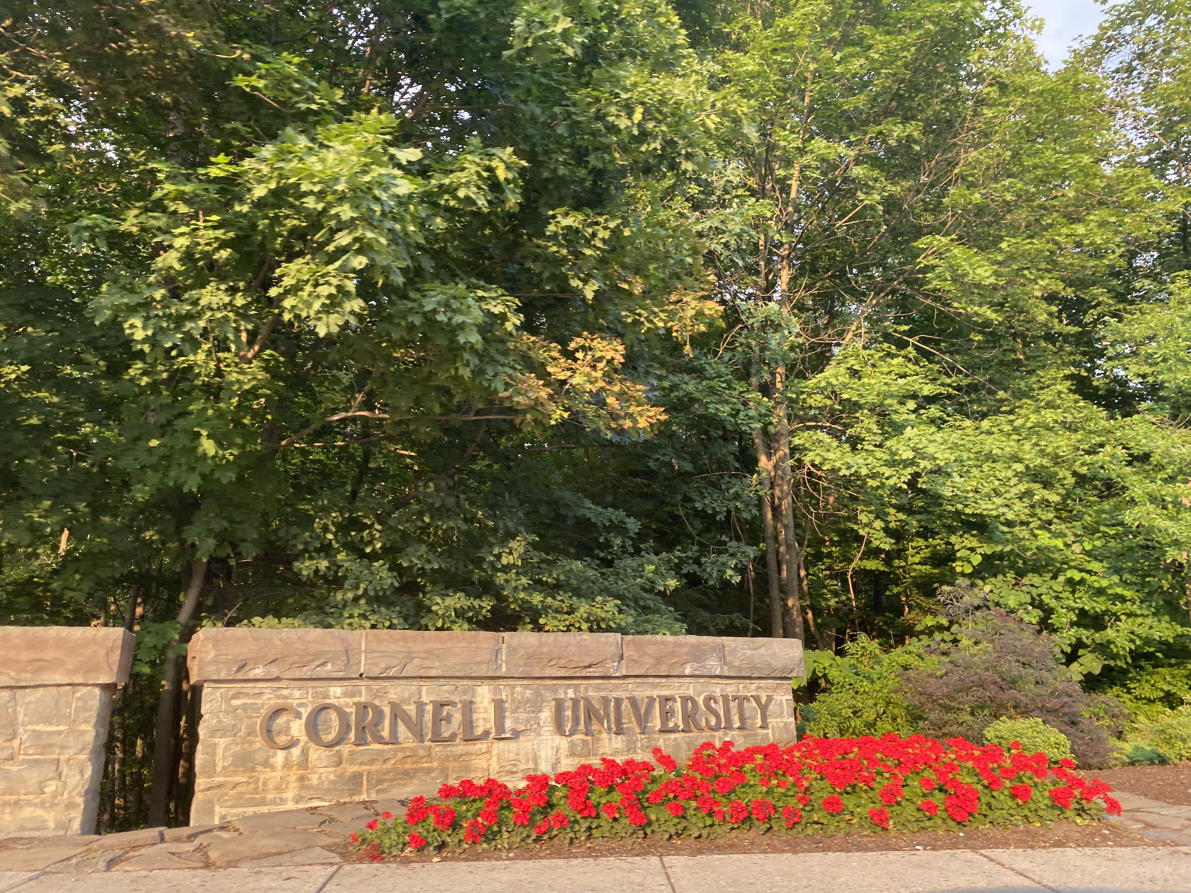 Photo taken with Sony α7R V