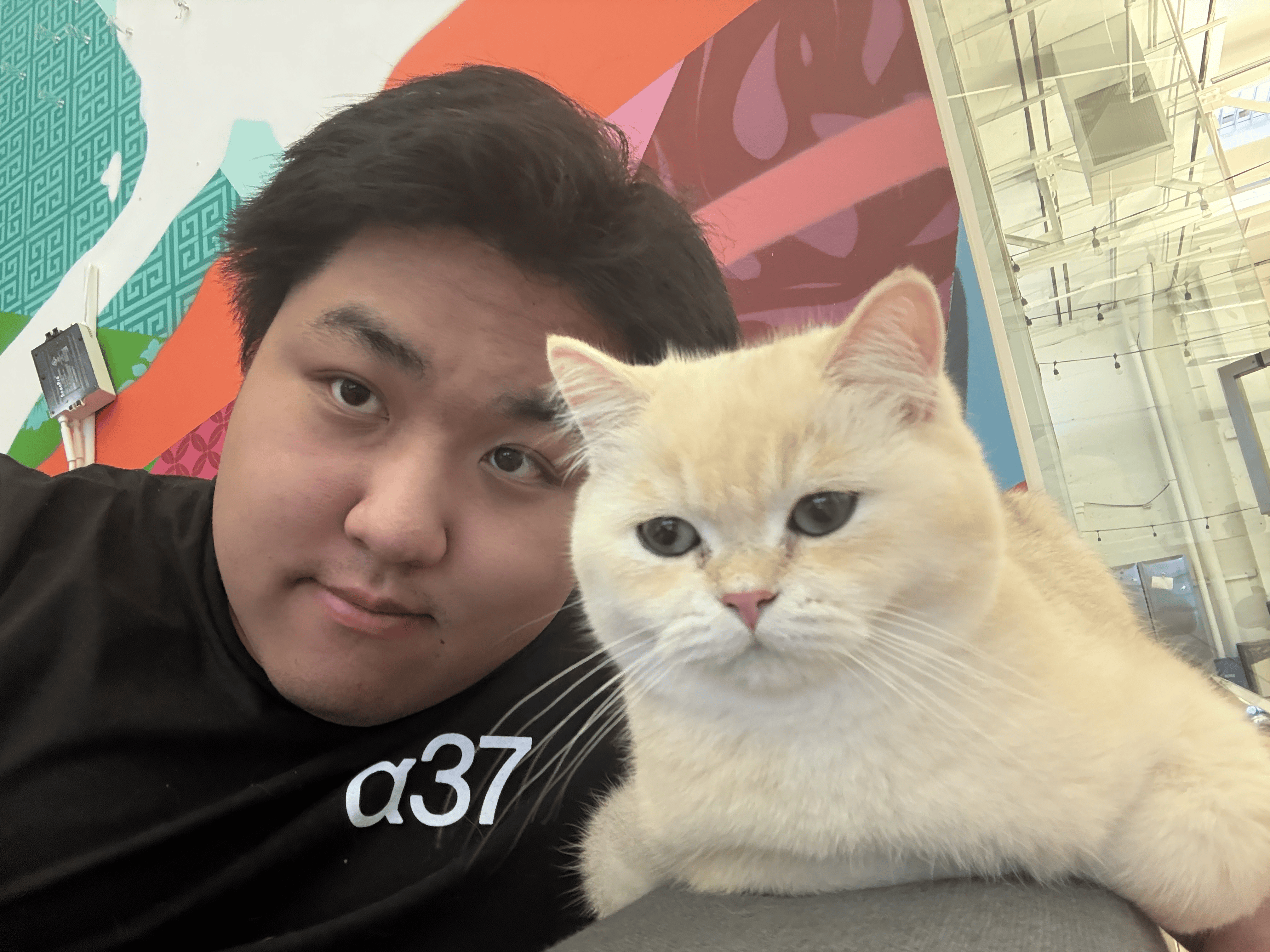 me n cat
